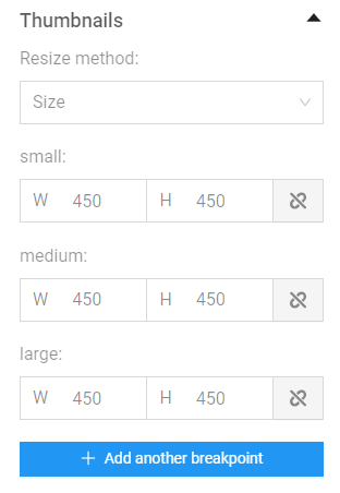 thumbnail of a photo in the gallery